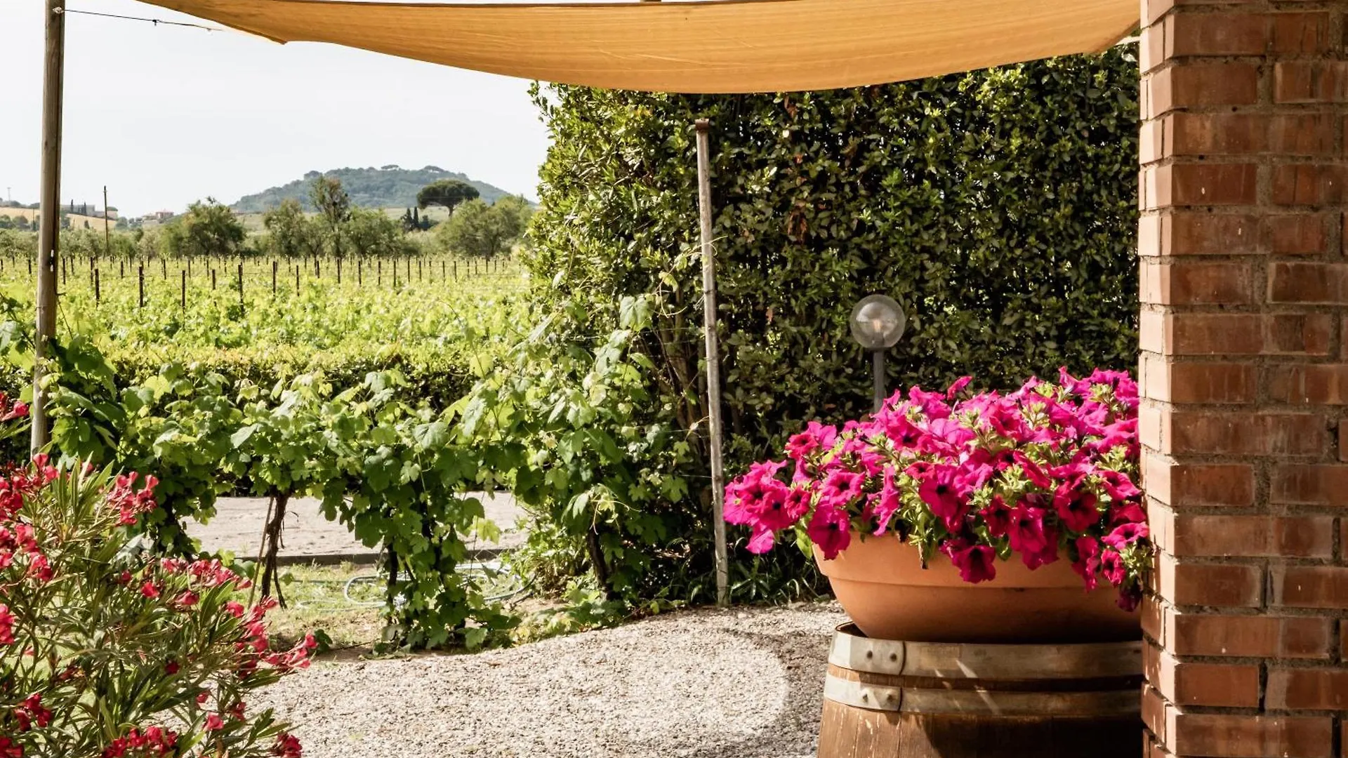 Farm stay Agriturismo Santa Lucia Fonteblanda Italy