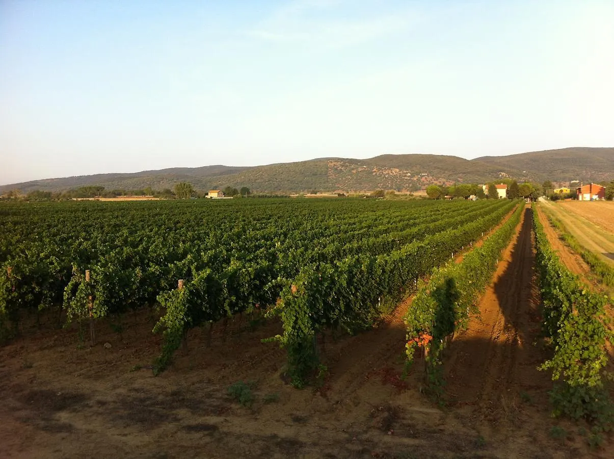 Agriturismo Santa Lucia فونتيبلاندا إيطاليا